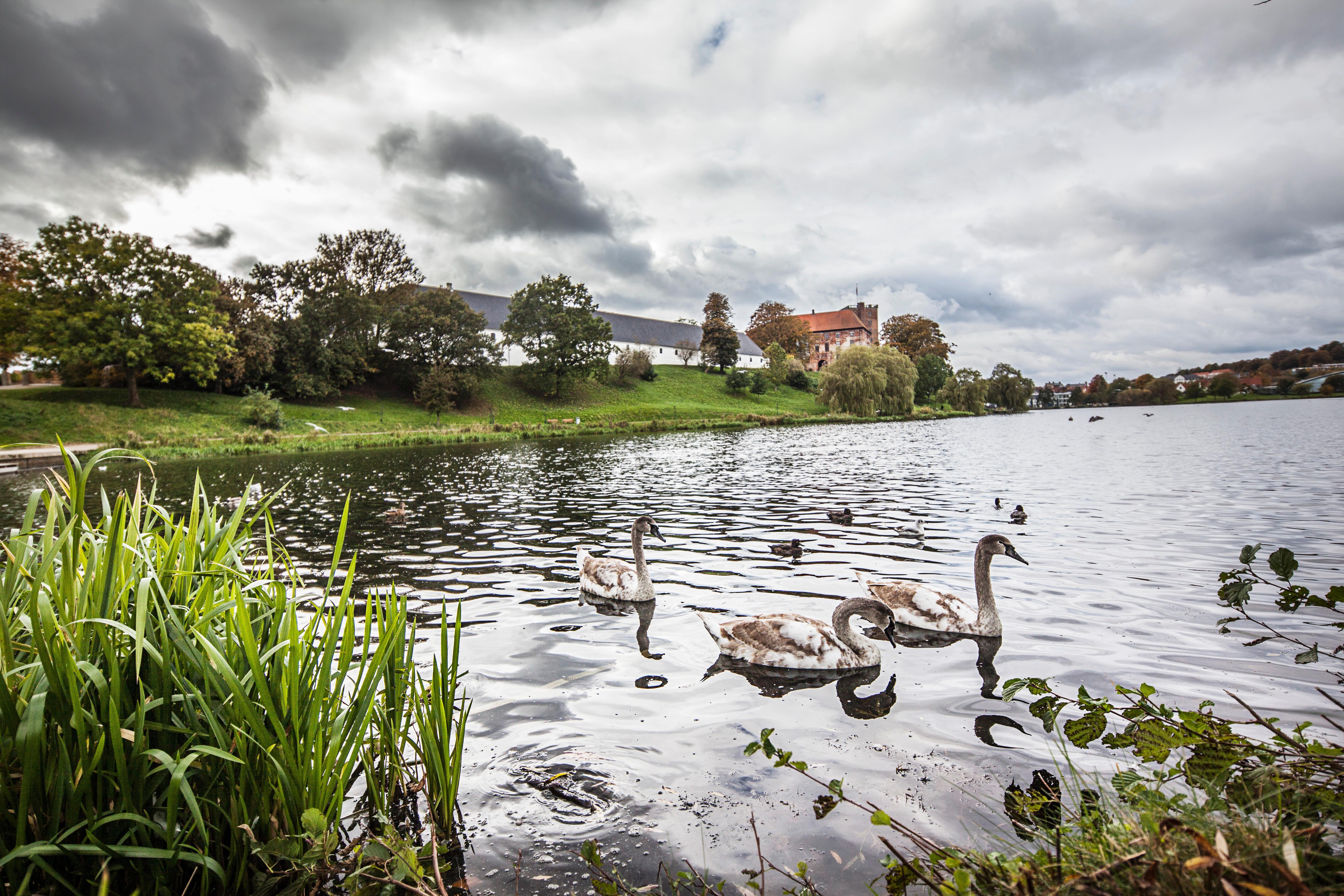 Hotel Hotel Kolding