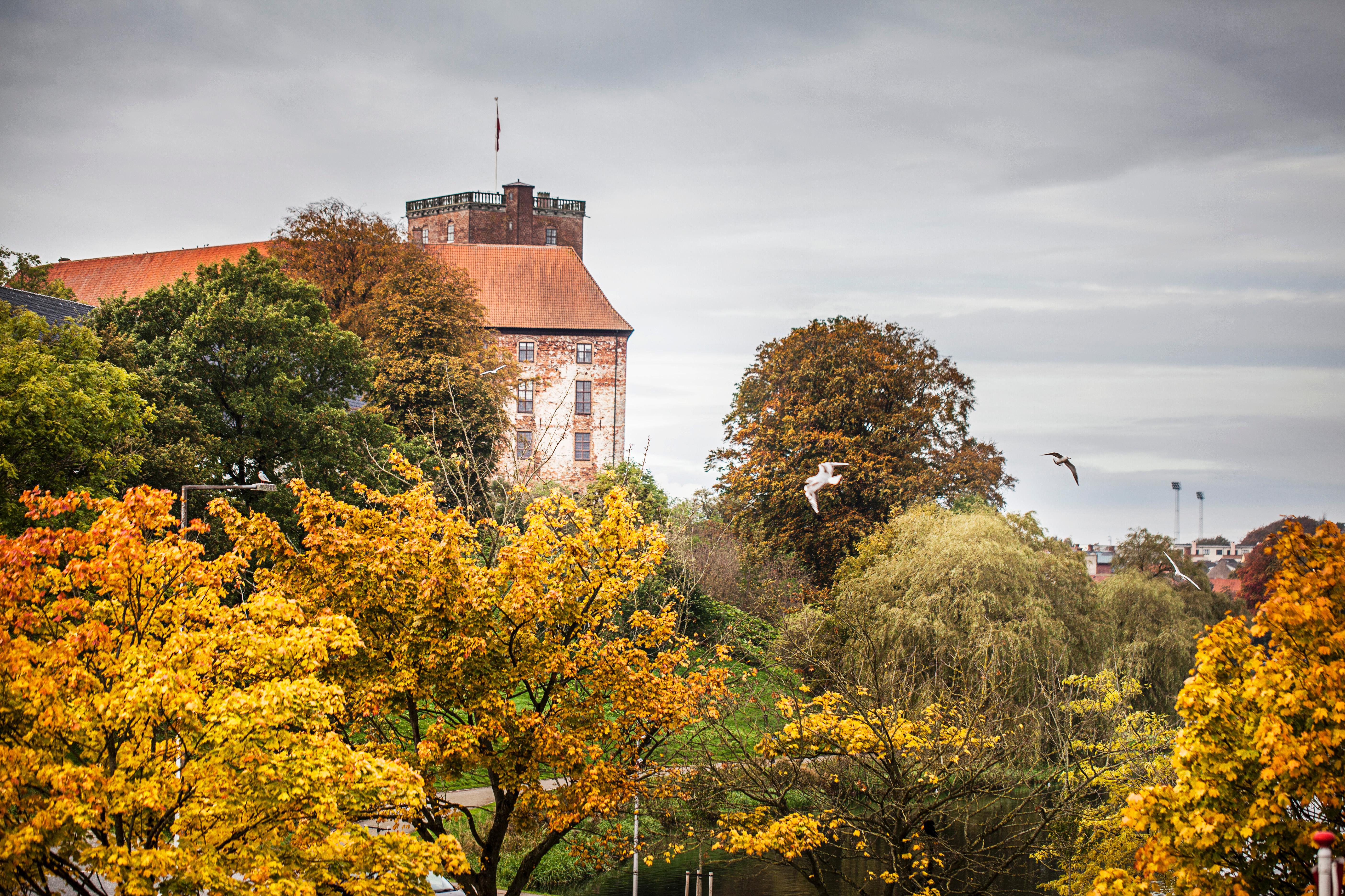 Hotel Hotel Kolding 4*